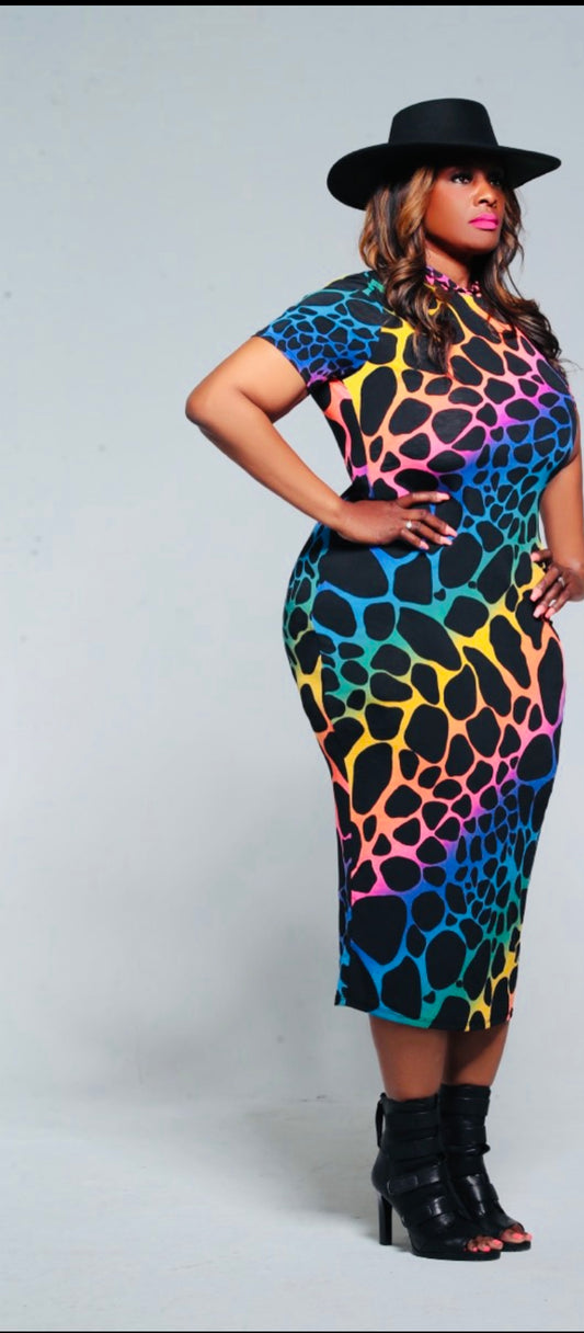 Rainbow Plush Dress